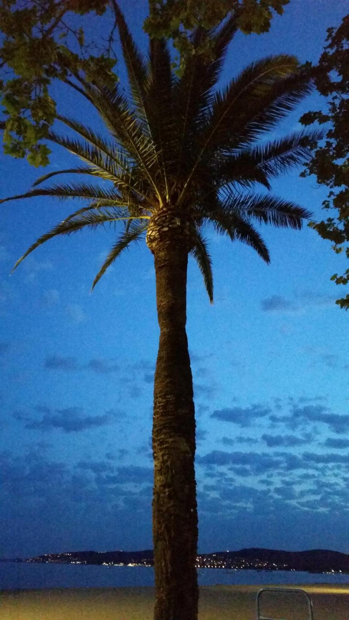 Sublime Vue Mer,Parking,Wifi Fréjus Exterior foto